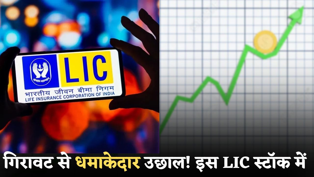 LIC Stock